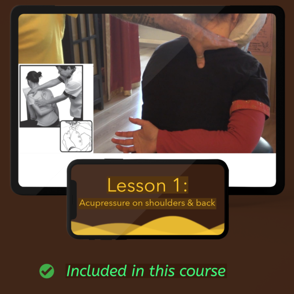 Thai Chair Massage Course - Lesson 1